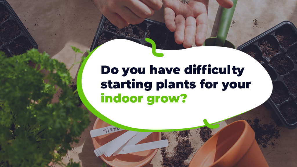 Benefits of Grow Plugs