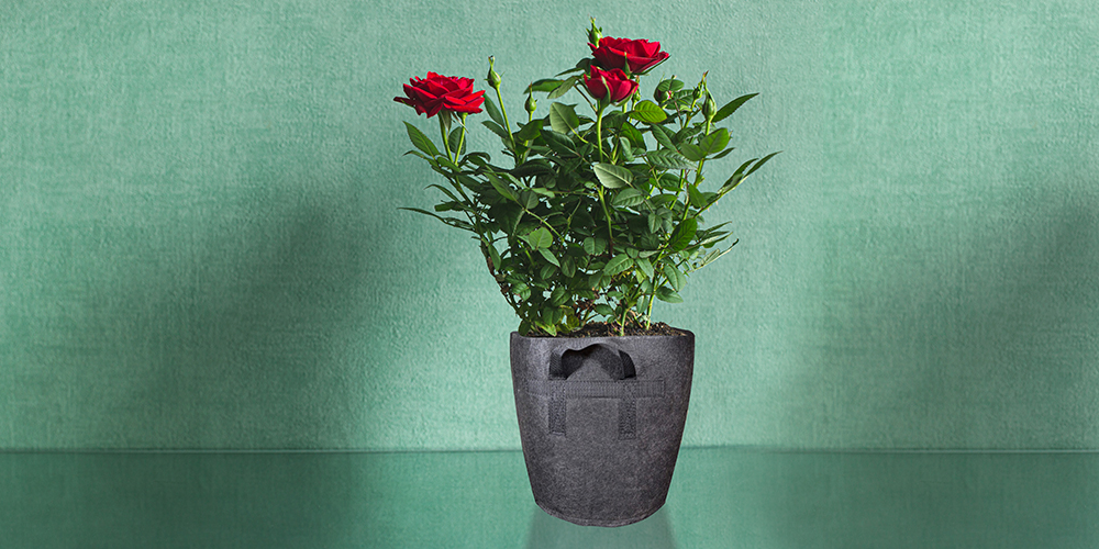 Fabric Container Gardening