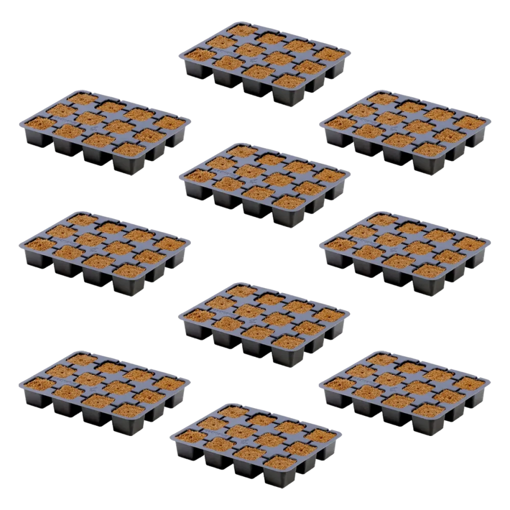 eazy-plug-ct-12-10-pack