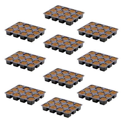 eazy-plug-ct-12-10-pack